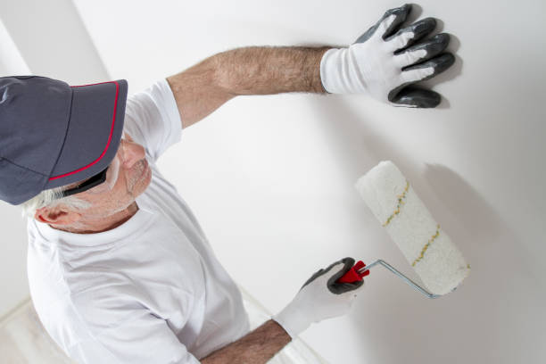 Best Mold Remediation for Healthcare Facilities  in Galena, KS