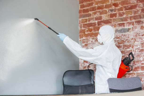 Best Mold Damage Restoration  in Galena, KS