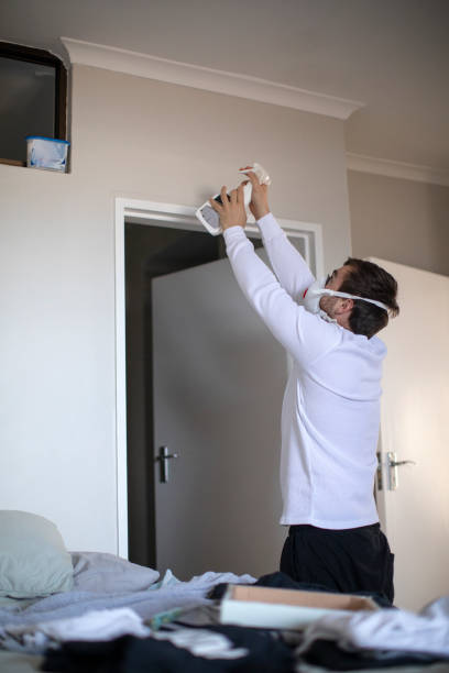 Best Mold Removal for HVAC Installations  in Galena, KS
