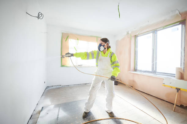 Best Attic Mold Removal  in Galena, KS