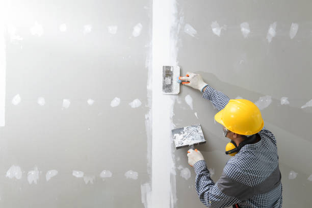  Galena, KS Mold Removal Pros