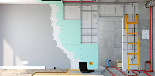 Best Commercial Mold Inspection  in Galena, KS