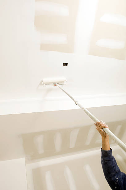 Best Post-Construction Mold Inspection  in Galena, KS