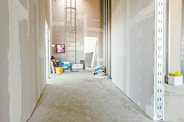 Best Mold Prevention Services  in Galena, KS